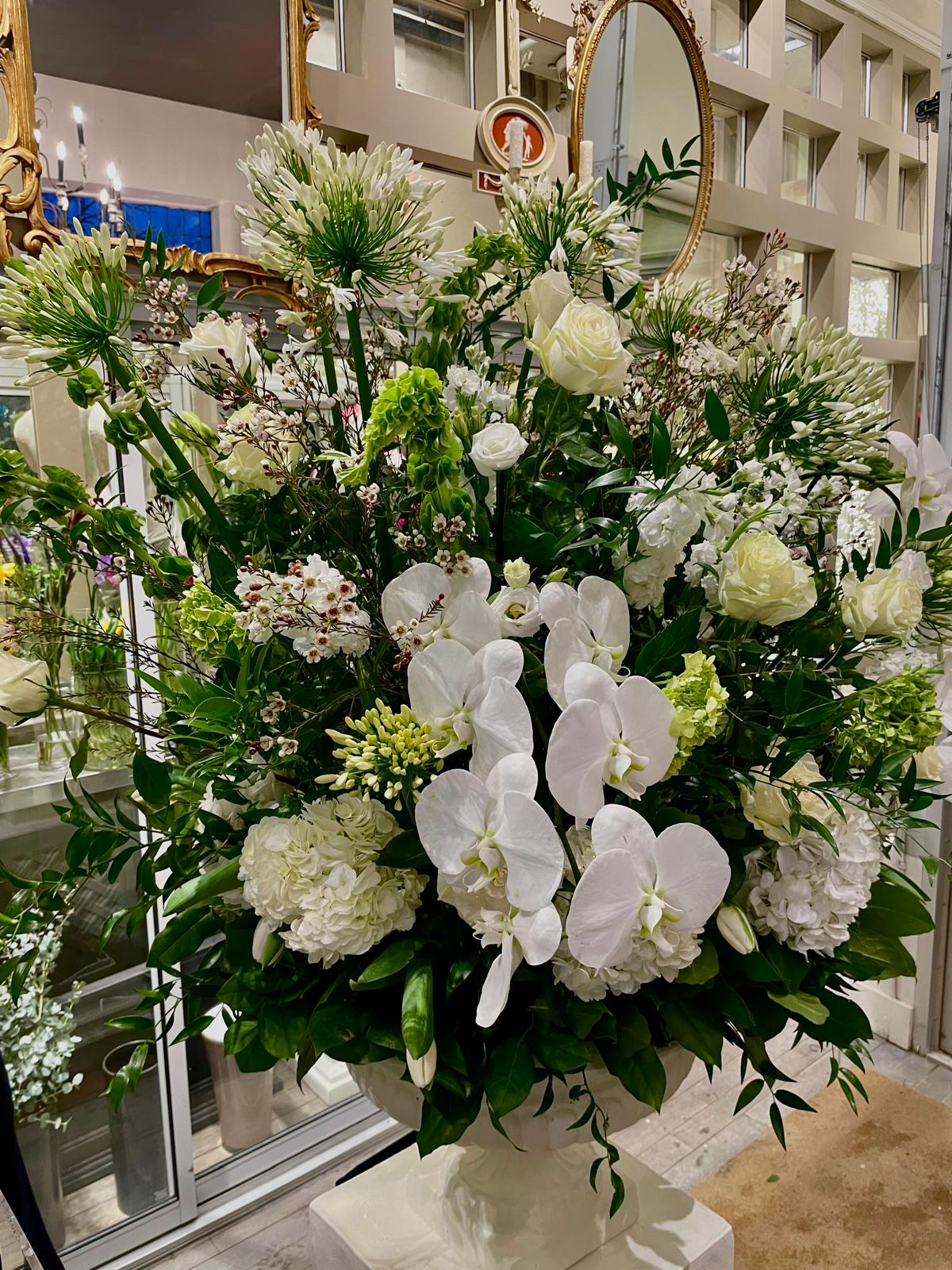 PHOTO-2026-02-12-21-46-00